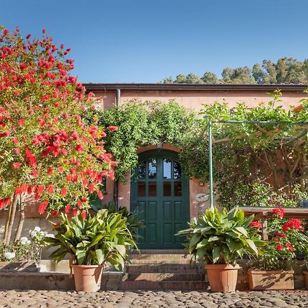 Masseria Pernice Монреале Экстерьер фото
